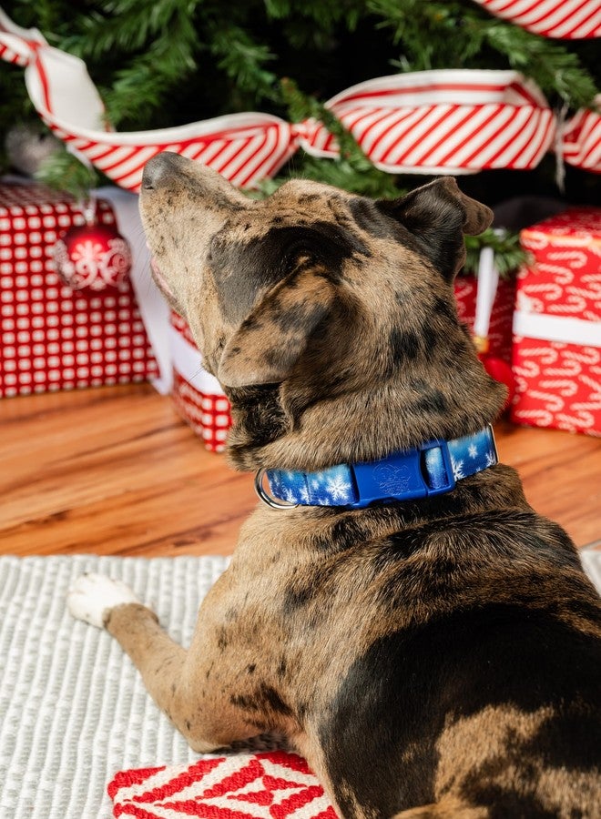 كانتري بروك ديزاين طوق كلاب فاخر من Country Brook Petz - تصميم شتوي ساحر - صنع في الولايات المتحدة الأمريكية - مجموعة عيد الميلاد بتصاميم احتفالية (1 بوصة، كبير) - Image 2